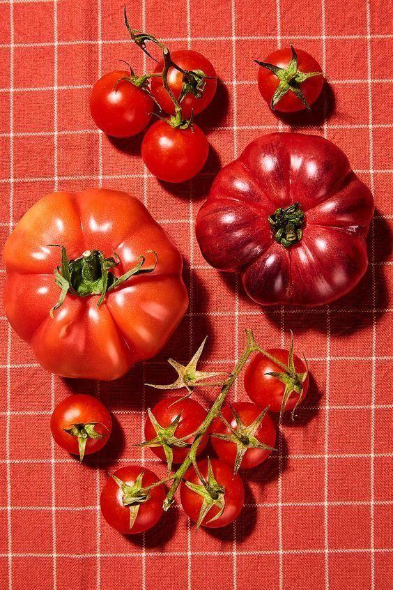 Harvest Symphony: Season's Best Ensemble